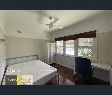 44 Vale Street, Birmingham Gardens, NSW 2287 - Photo 5