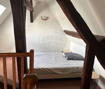 pièces de 37 - Photo 3