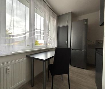 Pronájem bytu 2+1 54 m2 - Fotografie 2