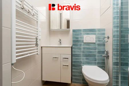 Pronájem bytu 2+1, Brno - Židenice, ulice Krásného, balkon, sklep, po rekonstrukci - Photo 2