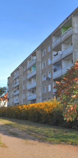 ideale Singlewohnung zur Selbstrenovierung - Foto 1