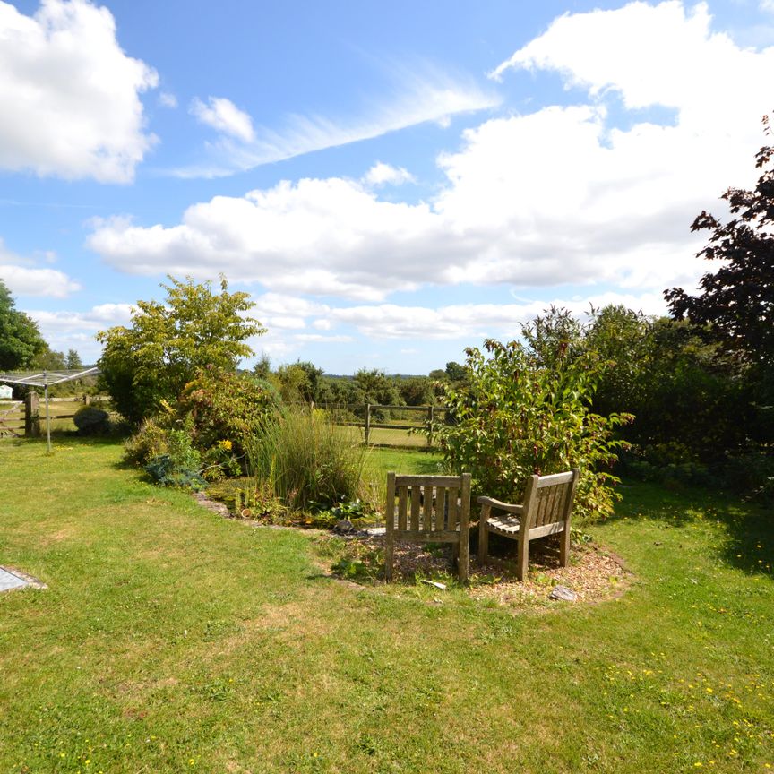 Abbotswell Road, Fordingbridge, Frogham - Photo 1