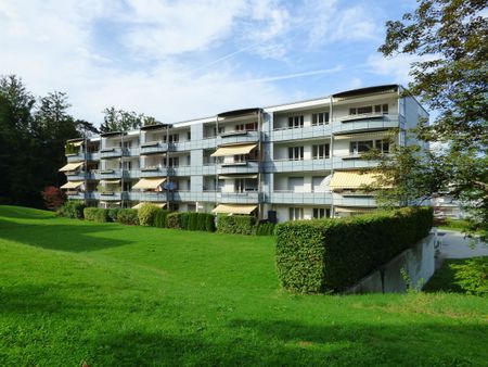 Your new oasis of well-being in the beautiful Adliswil! - Foto 5