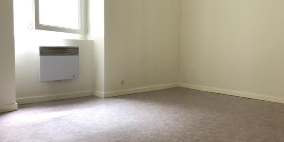 Location Appartement 1 pièce 24m² NANTES 44100 - Photo 3