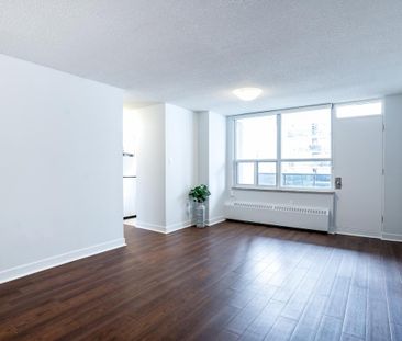 Davisville Village Apartments - Photo 2