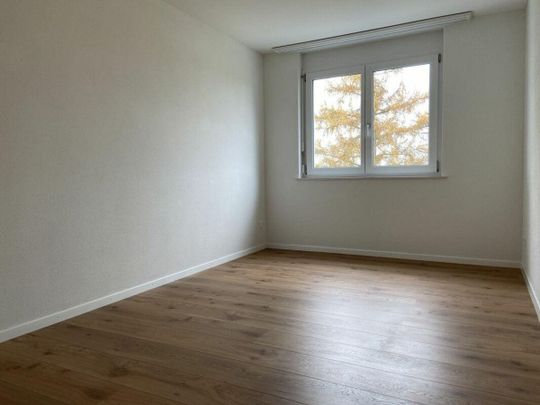 Grosse 4.5 Zimmer-Wohnung mit grossem Balkon - Photo 1
