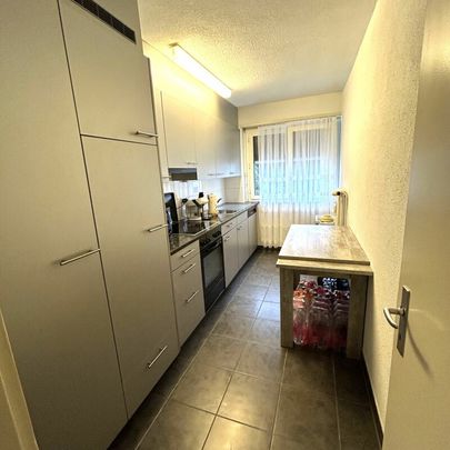 geräumige und ruhige 3.5 Zimmer-Wohnung - Photo 1