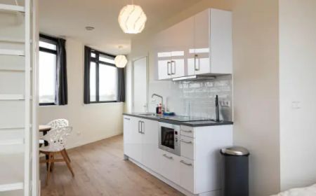 Studio Soestdijksekade, La Haye - À louer - Foto 3
