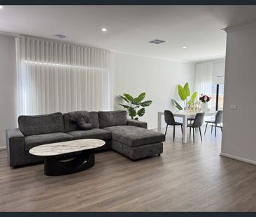 Spacious Family Living in Junction Village - Photo 1