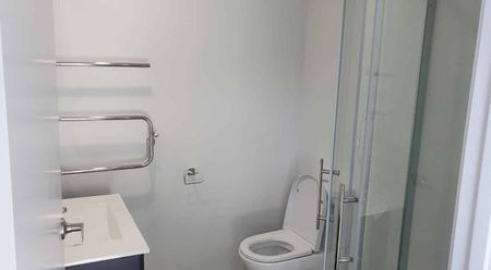 Brand New Two Bedroom Unit - Photo 5