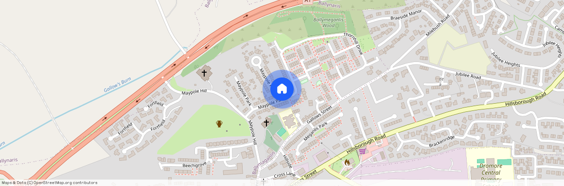 64 Maypole Park, Dromore, BT25 1SH