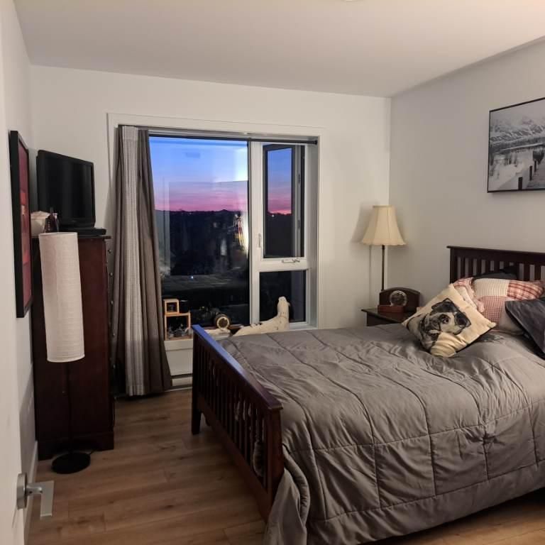 4 demi + Bureau/DROIT chiens et chats - Photo 1