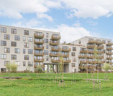 Nieuwbouw appartement met 2 slaapkamers te huur in Lokeren - Foto 2