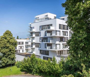 Appartement T2 à louer - 45 m² - Photo 3