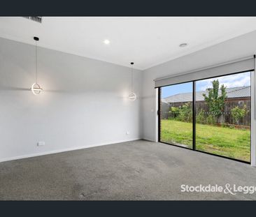 A cut above the rest! - Photo 5