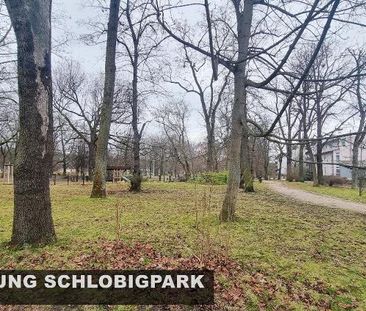 Wohnen am Schlobigpark. 2-Raum Wohnung mit Wintergarten - Photo 1