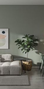 appartements 3 1/2 - Photo 4