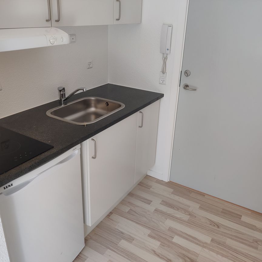 Skøn og lys lejlighed Viborgs hjerte - Photo 1