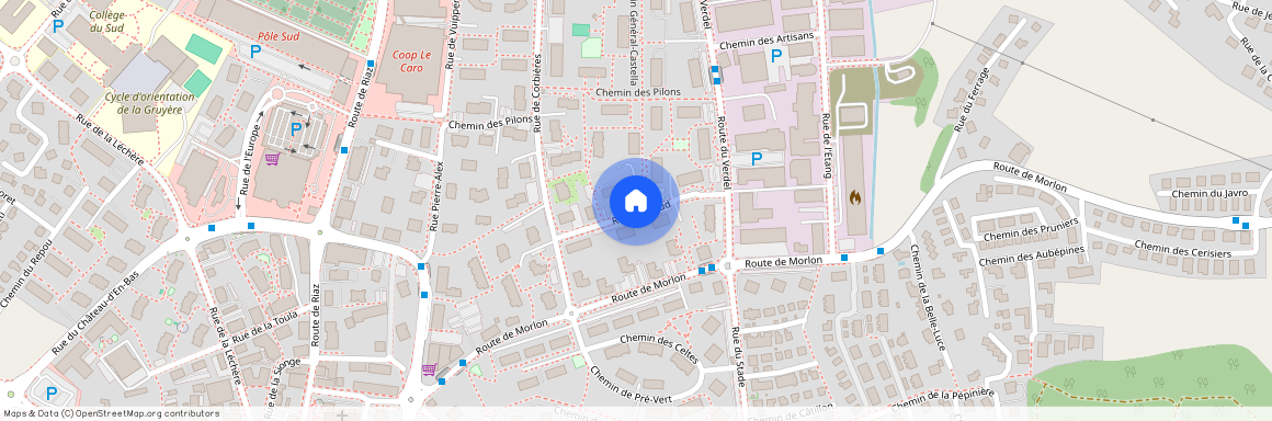 1630, Bulle, Rue De Palud