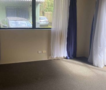 Retreat in the heart of Dunedin - Photo 1