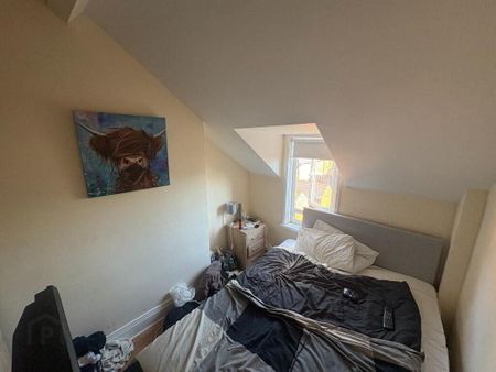 49 Elaine Street, Belfast, BT9 5AR - Photo 4