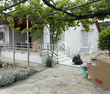 Μονοκατοικία για ενοικίαση - Ραφήνα, - Φωτογραφία 4