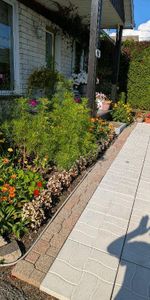 Maison a louer a Neuville - Photo 4