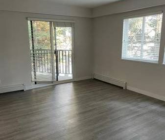 (8788 Fremlin) Pet-friendly One Bed Apartment for Rent - Photo 1