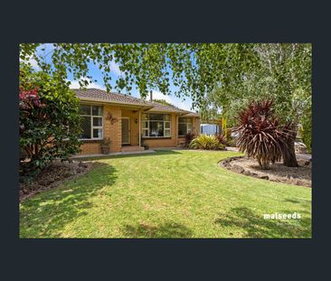 1 Wren Street, Mount Gambier, SA 5290 - Photo 4