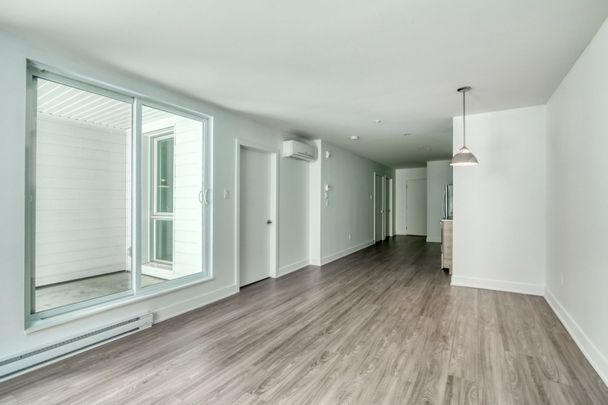 9675 Av. Papineau, app.113, H2B 3C8, H2B 3C8, Montréal - Photo 1