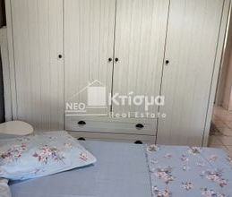 Μονοκατοικία για ενοικίαση - Πύργος, - Photo 3