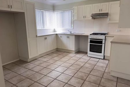 Catch of the Day - Photo 3