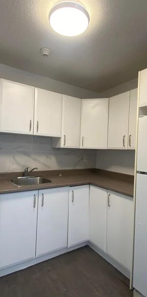 45 Rue Du Curé-André-Préseault (Gatineau) Grand Logement 2 Chambres - Photo 1