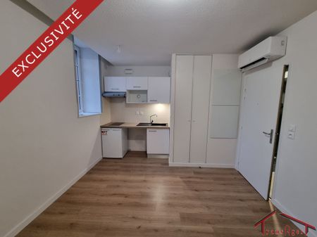 Location Appartement 1 pièce 19m² TOULOUSE 31000 - Photo 2