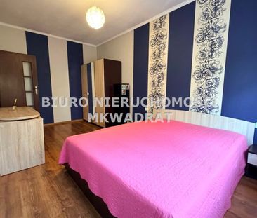 Radlin, Marcel - Photo 3