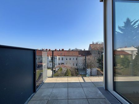 ERSTBEZUG. ERSTKLASSIG. Außenflächen mit direktem Blick auf den Kahlenberg | vollausgestattete Küchen | Fußbodenheizung und Fußbodenkühlung - Foto 2