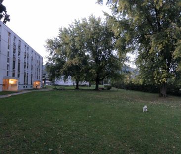 1 month free - newly renovated 4.5-room apartment, 3rd floor - Photo 4