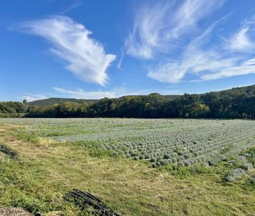Maison meublée T4 92 m² les granges gontardes - Photo 1