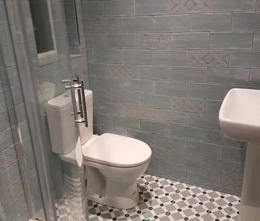 Royal Canal Terrace, Dublin - Photo 4