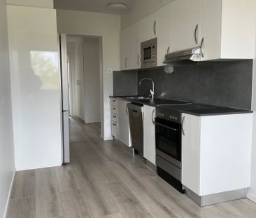 Sankt Larsgatan, Skara - Photo 2
