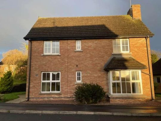 Baltylum Meadows, Portadown, BT62 - Photo 1