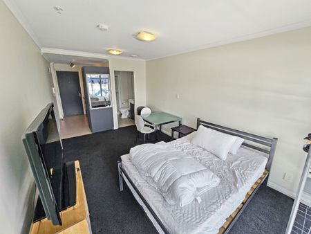 Te Aro Living! - Photo 3