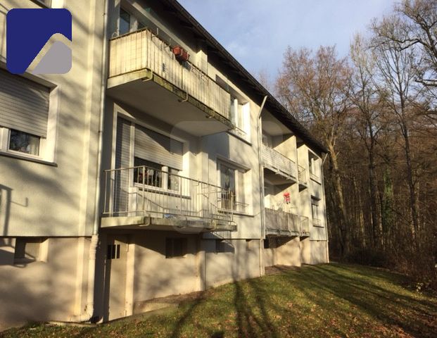 Lüdenscheid-Freisenberg: 2-Zimmer-Wohnung mit Balkon in ruhiger Lage - Foto 1