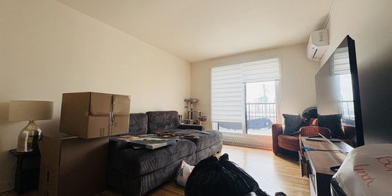 Des Cèdres Appartement 4 ½ à Louer Limoilou Juillet 2026 - Photo 3