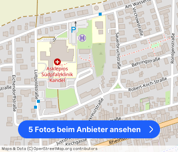 Louis-Pasteur-Straße 1F, 76870 Kandel - Foto 1