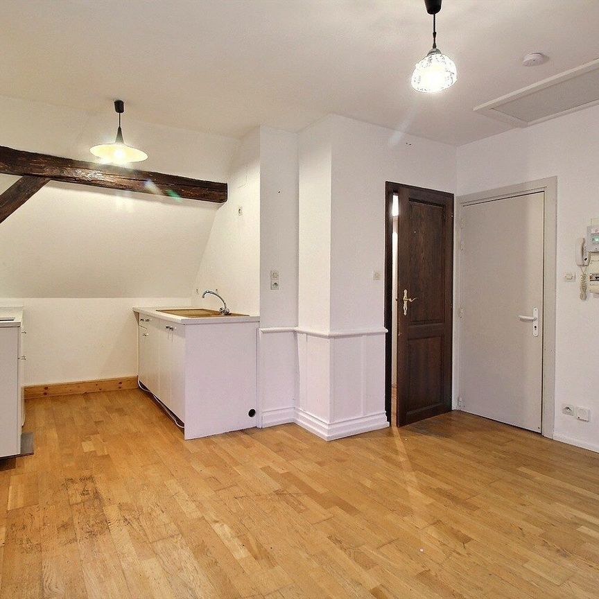 Location Appartement 1 pièce 20m² VILLE 67220 - Photo 1