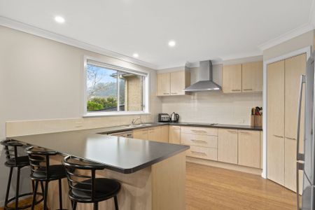 Sunny Spacious Family Home - Photo 5