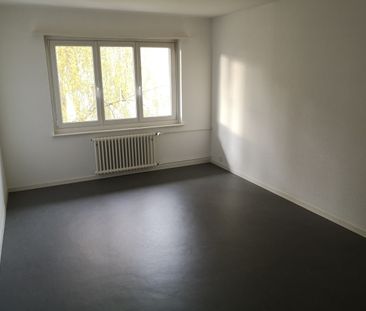 Apartment - Photo 5