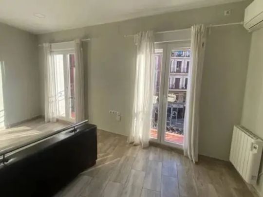 Piso en alquiler en Calle de Atocha, cerca de Calle de León - Photo 1