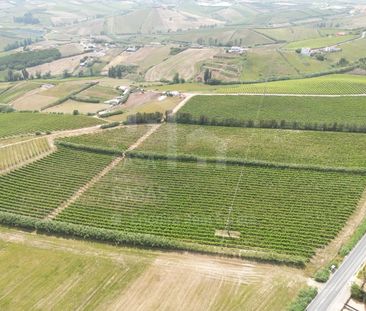 Moradia T3 em Lisboa - Photo 4